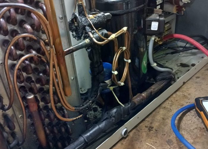 486106858_959420816384558_6602690006825806431_n