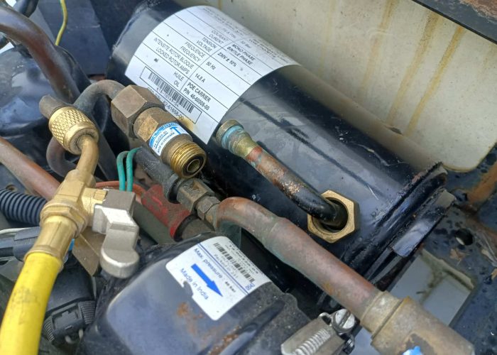 487287704_962470702746236_5524194236566798228_n